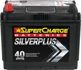 Supercharge+Silver+Plus+Batteries