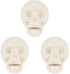 NEW-3-Piece-Skull-Heads on sale