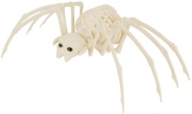 Spider+Skeleton