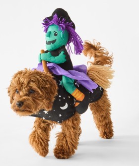 Pet-Costume-Halloween-Witch-Ride-On on sale