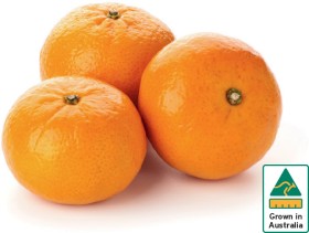 Australian-Mandarins on sale