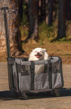 Pet+Trolley+Case%5E