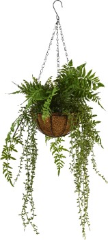 Hanging+Fern+Bowl+Green+35+x+87cm