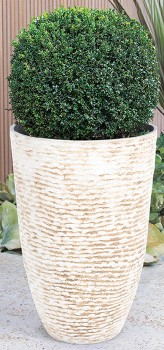 NEW+Sculptured+Planter+52cm