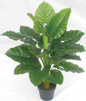 NEW+Artificial+Taro+Plant+80cm