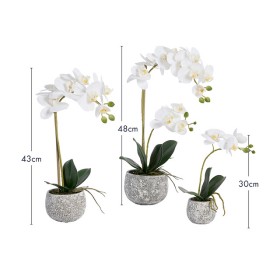 Artificial+Phalaenopsis+White+Orchid+in+Pot+by+M.U.S.E.