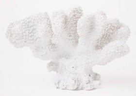 Australian-House-Garden-Coral-Object on sale