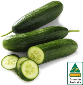 Australian-Lebanese-Cucumbers on sale