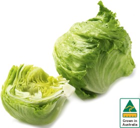 Australian+Iceberg+Lettuce