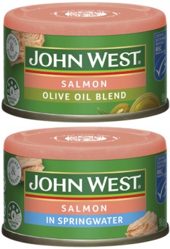 John-West-Salmon-Tempters-95g on sale