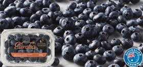 Australian+Eureka+Blueberries+200g+Punnet