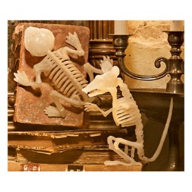 Halloween+Small+Animal+Skeleton+%26ndash%3B+Assorted