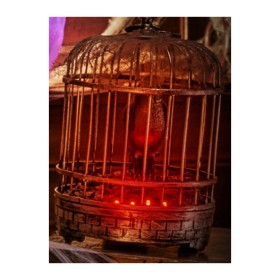 Halloween+Bird+in+Cage