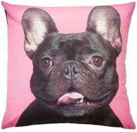 Brampton+House+Photo+Real+Frenchie+Cushion+45+x+45cm