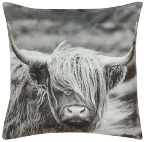 Brampton+House+Photo+Real+Highland+Cow+Cushion+45+x+45cm