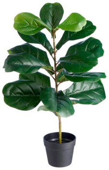 Fiddlelleaf+Green+75cm