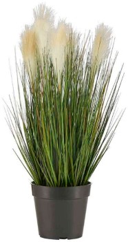 Bulrush+In+Pot+Natural+56cm