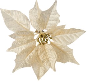 Jolly-Joy-Poinsettia-Clips-Champagne-6-Pack on sale