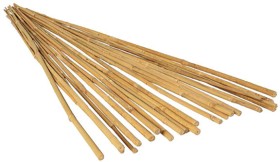 Bamboo+Stakes+Natural+Colour