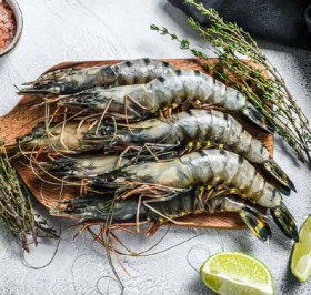 Australian-Raw-Black-Tiger-Prawns on sale