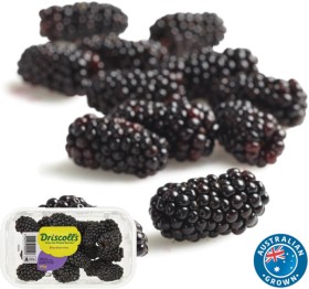 Australian+Blackberries+170g+Punnet