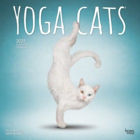 2025+Wall+Calendar+-+Yoga+Cats