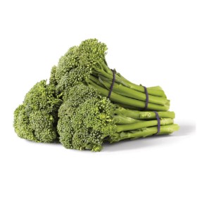 Australian+Broccolini+Bunch