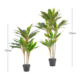 Artificial-Tropical-Cordyline-Plant-by-MUSE on sale