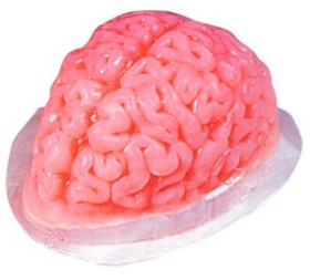 Mould+Brain+Gelatine+Jelly+Ea