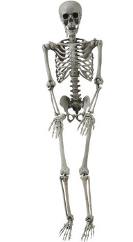 Skeleton-Hanging-98cm-Ea on sale