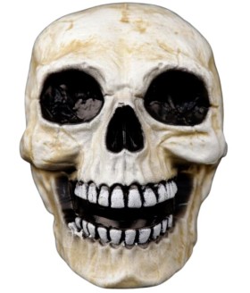 Skull+Smiling+23cm+Ea