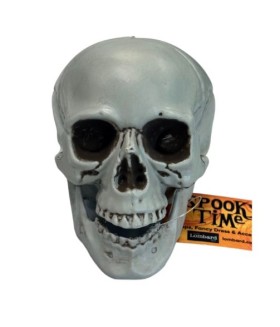 Skull+Mini+with+Movable+Jaw+10cm+Ea