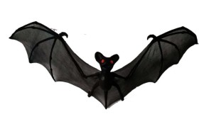 Bat+Black+50cm+Ea