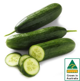 Australian-Lebanese-Cucumber on sale