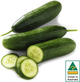 Australian-Lebanese-Cucumber on sale