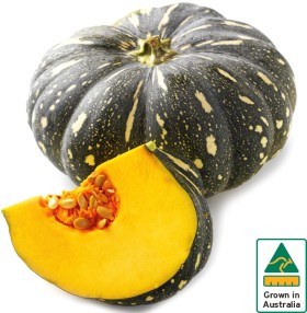 Australian-Kent-Pumpkin on sale