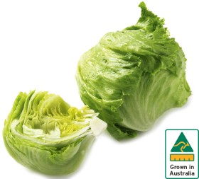 Australian+Iceberg+Lettuce