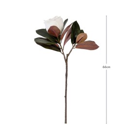 Magnolia+Branch+by+M.U.S.E.