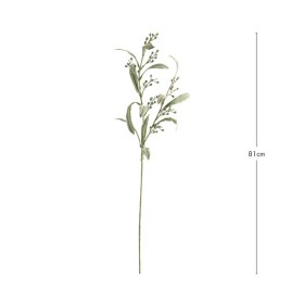 Budding-Wattle-Stem-by-MUSE on sale