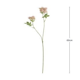 Queen-Annes-Lace-Stem-by-Habitat on sale