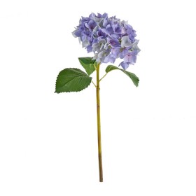 Hydrangea+Stem+by+M.U.S.E.