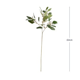 Single+Eucalyptus+Stem+by+M.U.S.E.