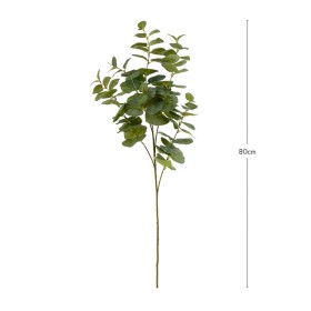 Eucalyptus-Branch-by-Habitat on sale