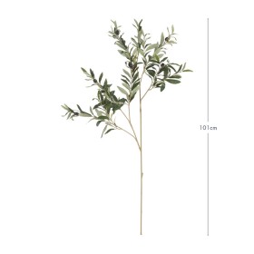 Olive-Branch-Stem-by-MUSE on sale