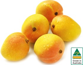 Australian-Kensington-Pride-Mangoes on sale