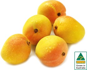 Australian-Kensington-Pride-Mangoes on sale