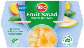 SPC+Diced+Fruits+in+Juice%2C+Syrup%2C+Jelly+or+Puree+4+Pack+Selected+Varieties