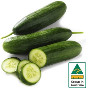 Australian-Lebanese-Cucumber on sale