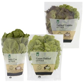 Australian+Baby+Cos+Lettuce%2C+Green+Oakleaf+Lettuce+or+Combo+Oakleaf+Lettuce