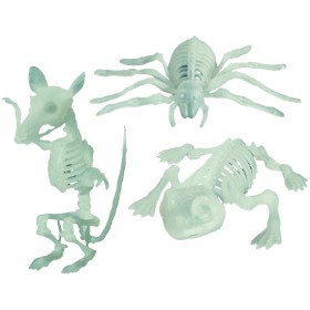 Halloween-Small-Glow-In-The-Dark-Skeleton-Animal-Assorted on sale